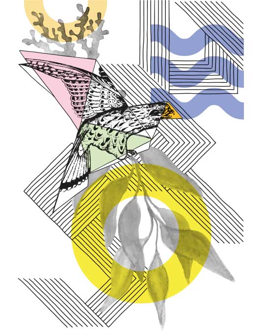 dessin oiseau de chasse conception graphique kimkom